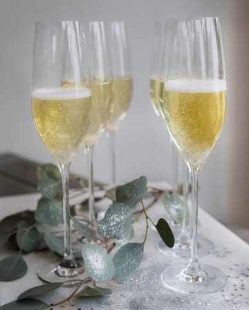 Cabernet champagneglas 29 cl 6-pack - Klar - Holmegaard